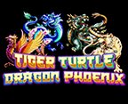 Tiger Turtle Dragon Phoenix